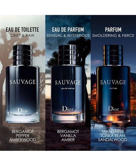 macy's perfume dior sauvege|Dior sauvage perfume Macy's.